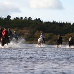 Horse riding in East Clare