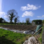 The Garden ready for planting