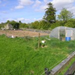 The Polytunnel & Garden