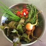 Home grown salad and herbs