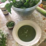 Spring nettle soup with wild Garlic