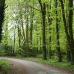 Walking Ireland Walking, Co. Clare, Ireland